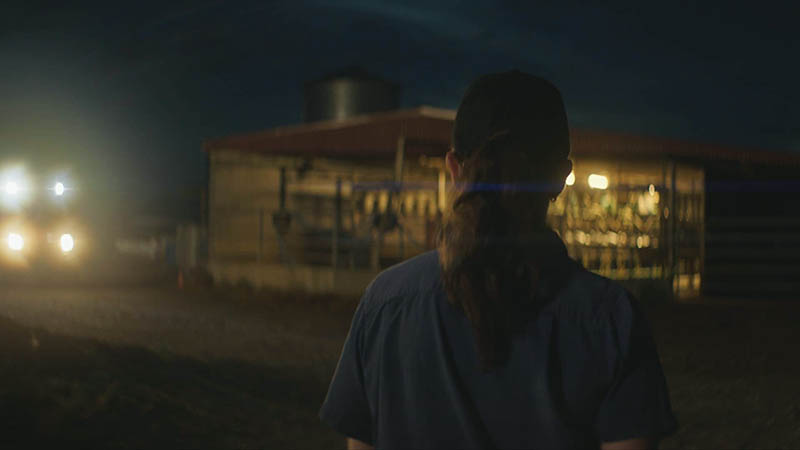 Dairy Australia